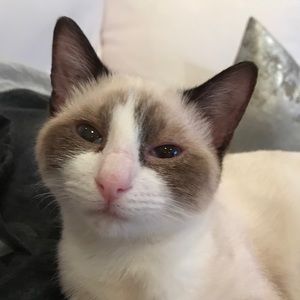 Meet your Posher, Amy